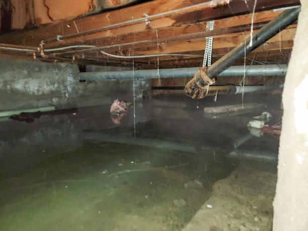 Best Emergency water damage restoration  in Medford, MA
