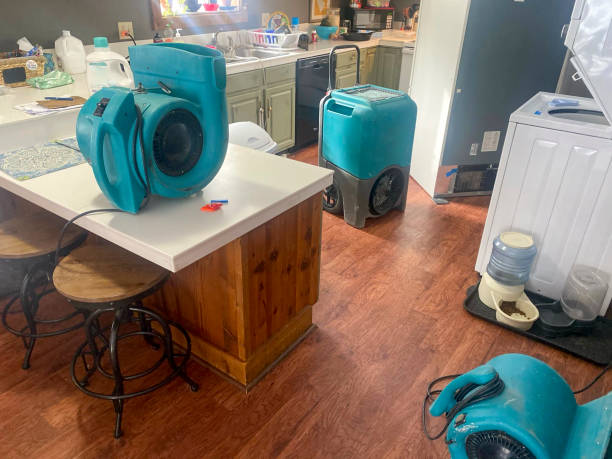 Best Residential water damage restoration  in Medford, MA