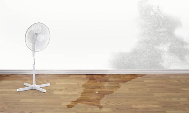 Best Flooded house restoration  in Medford, MA
