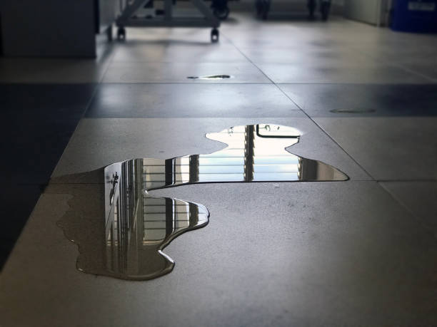 Best Water damage cleanup near me  in Medford, MA