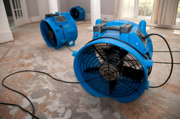 Best 24-hour water damage restoration  in Medford, MA