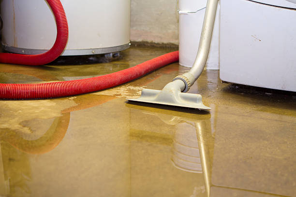 Best 24-hour water damage restoration  in Medford, MA
