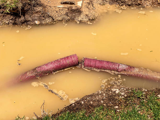 Trusted Medford, MA Water damage restoration Experts