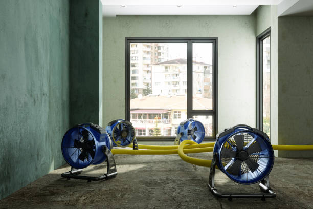 Best Residential water damage restoration  in Medford, MA